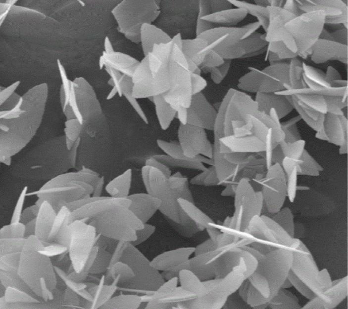 片状氧化铝，tabular alumina